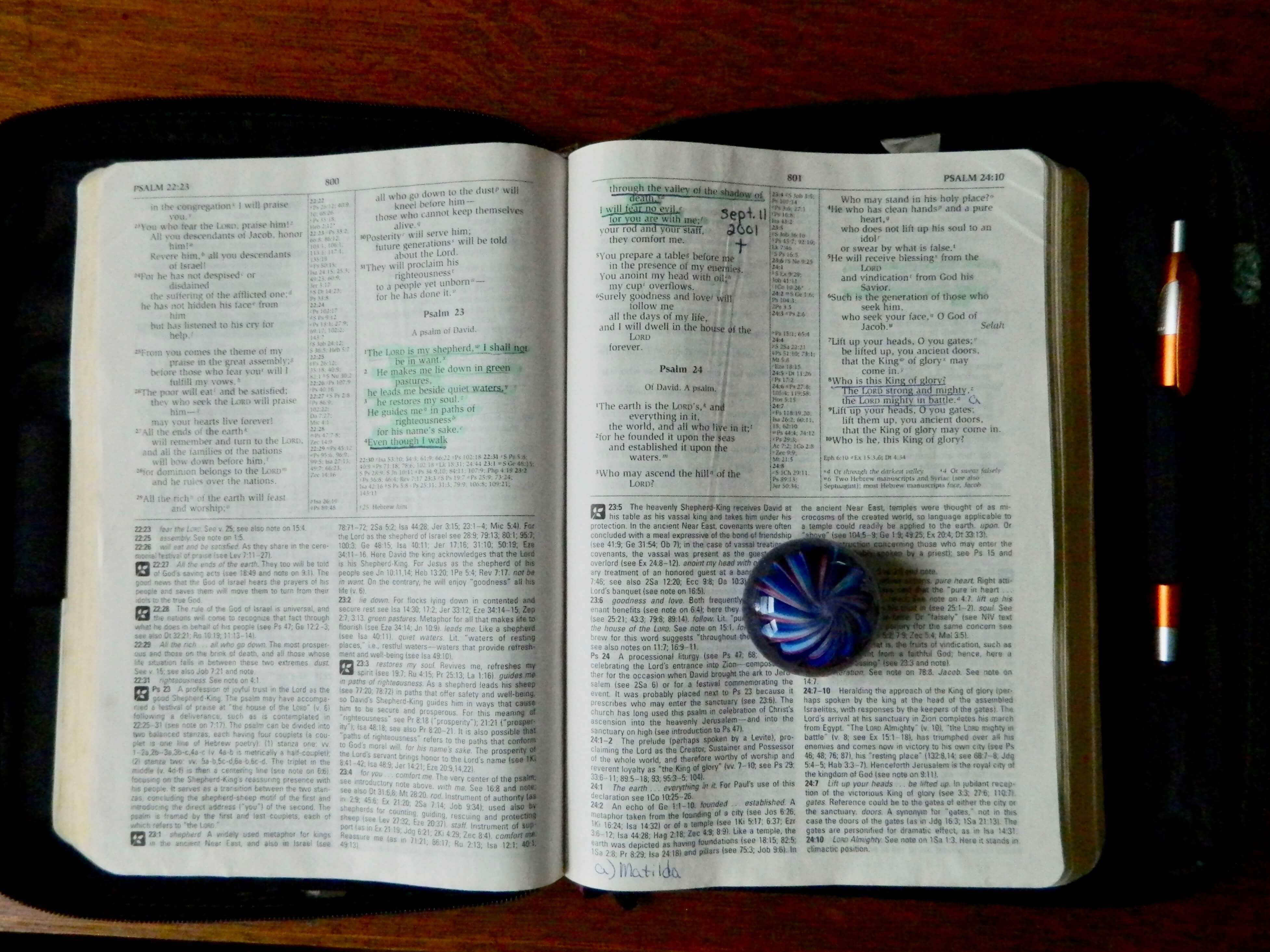 read-your-bible-every-day-a-feast-for-your-soul-lauren-thell