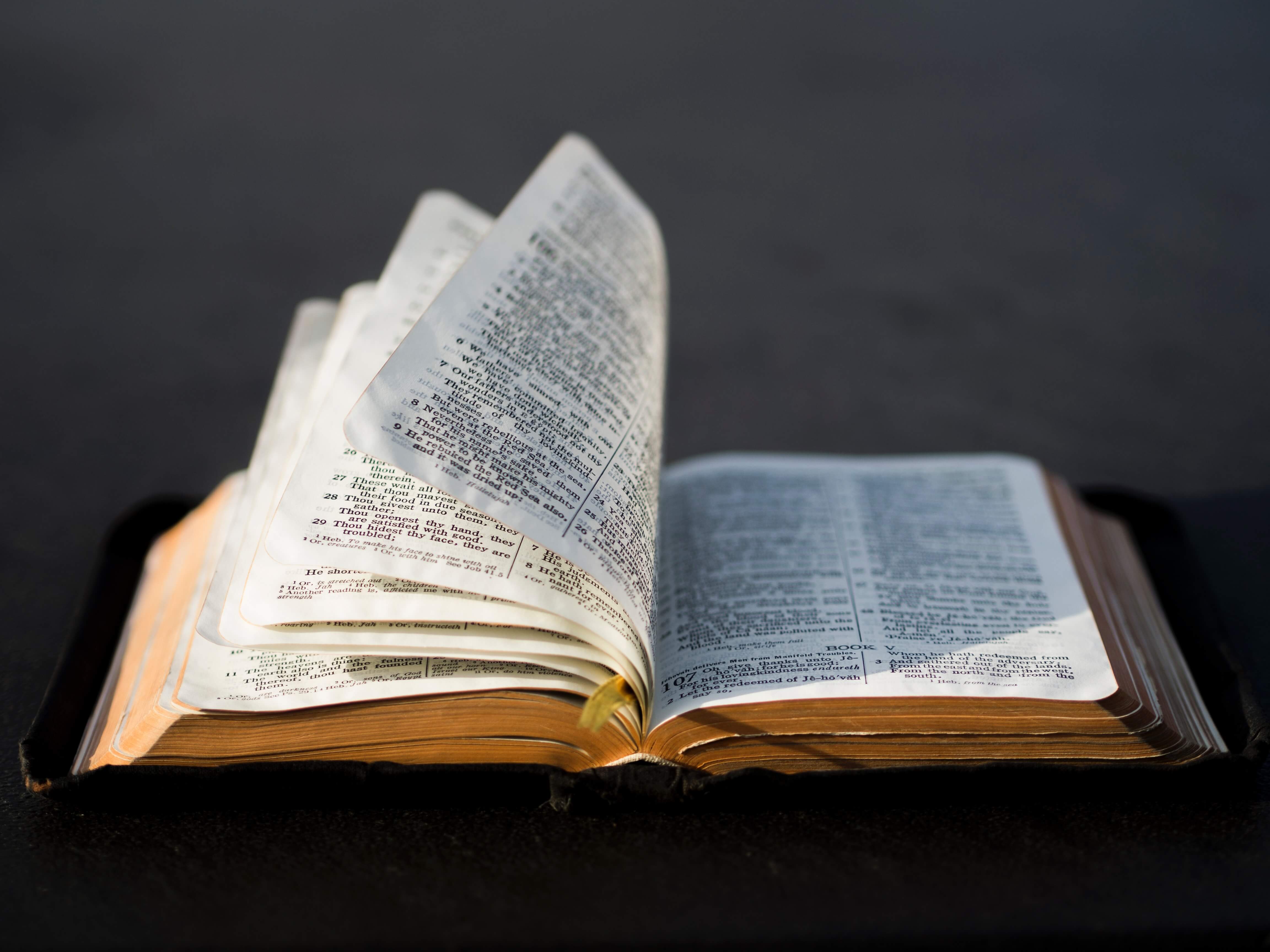 trouble navigating the Bible